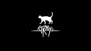 ｻｲﾊﾞｰﾊﾟﾝｸﾈｺﾁﾔﾝ《STRAY》